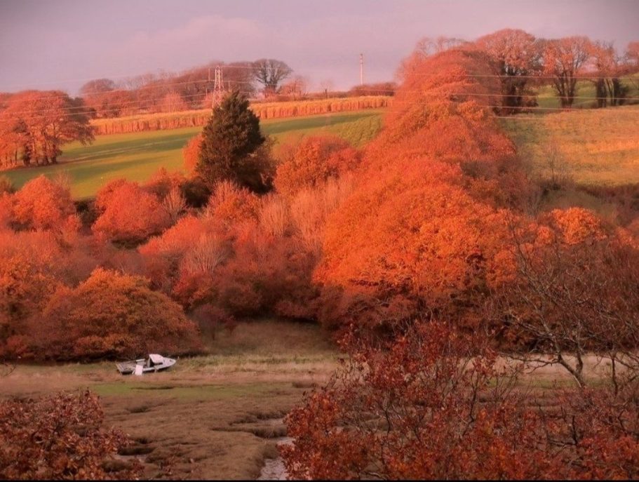 autumn-lakeside-landscape Stunning autumn landscape photography by the lake for Bord Du Lac Artisans.